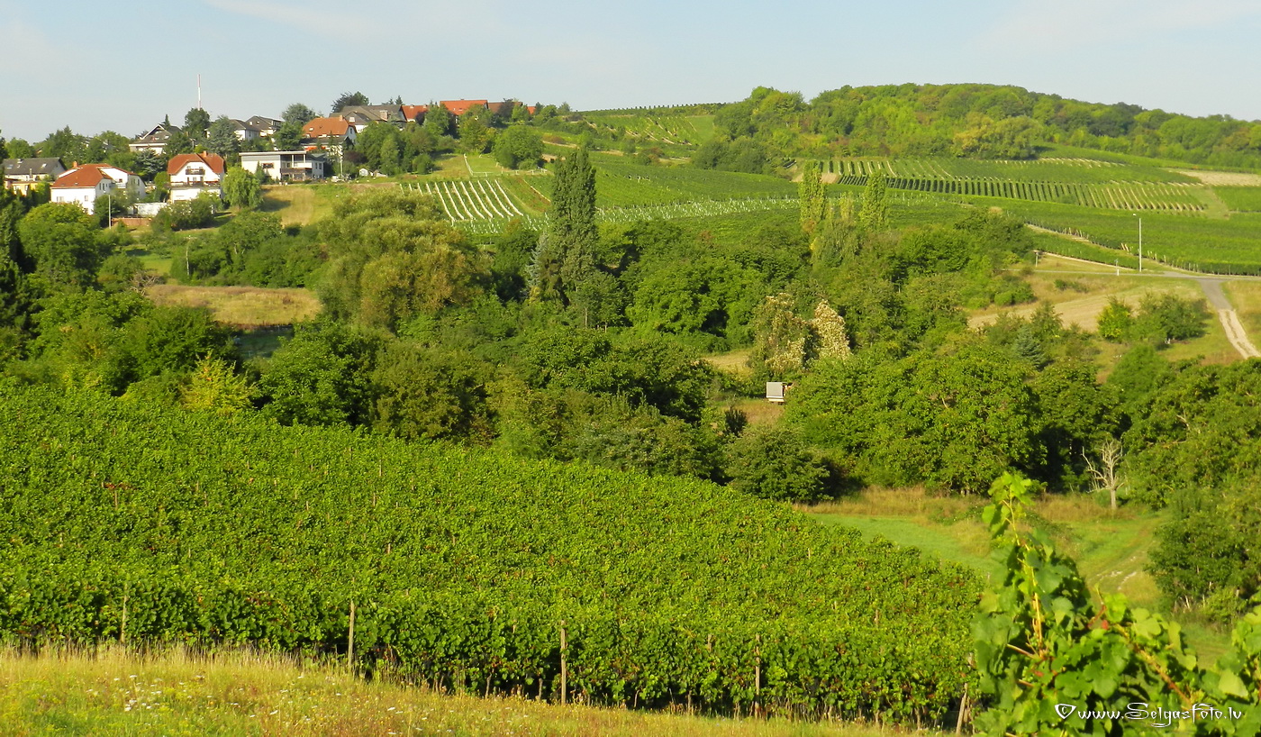 Partenheim. Deutschland.