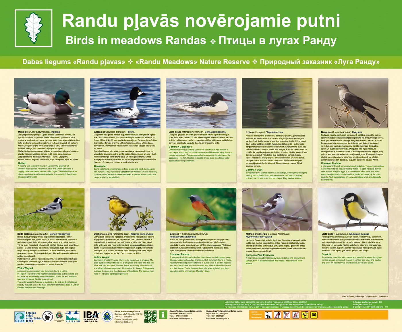 Randu pļavu stends. Randu pļavu stends.