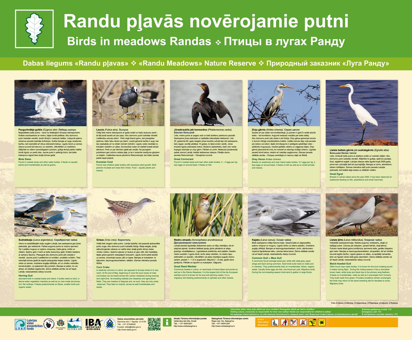 Randu pļavu stends. Randu pļavu stends.